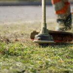 How to Mix and Match Generic Home Decor Themes